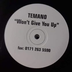 Wont Give You Up - Temano