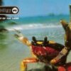 Prodigy - The Fat Of The Land - CD