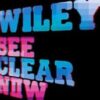 See Clear Now - Wiley - CD