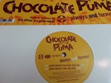 impaciente Vacaciones aprobar Always And Forever – Chocolate Puma – DNR Vinyl