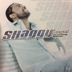 Angel - Shaggy / Crash & Burn