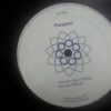 Pangaea - Pangaea