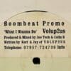 What I Wanna Do - Volup2us