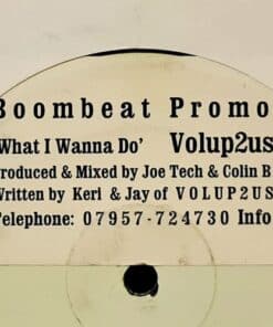 What I Wanna Do - Volup2us