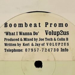 What I Wanna Do - Volup2us