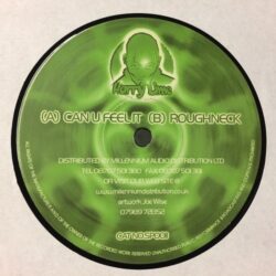 Can U Feel It / Roughneck - Harry Lime