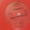 Can You Feel It - Gerideau
