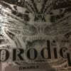 Charly - The Prodigy