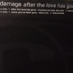After The Love Has Gone - Damage