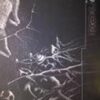 Dissociate - Kontext 3x12"