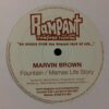 Fountain / Mamas Life Story - Marvin Brown