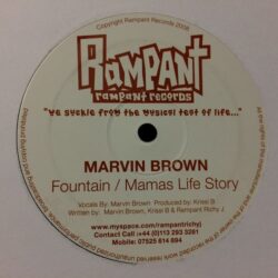 Fountain / Mamas Life Story - Marvin Brown