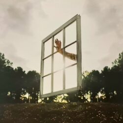 From Your Window - Feverkin