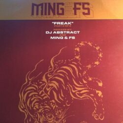 Freak - Ming And FS / DJ Abstract
