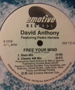 Free Your Mind - David Anthony