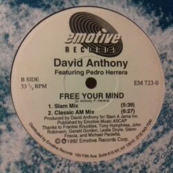 Free Your Mind - David Anthony