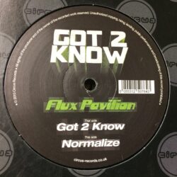 Got 2 Know / Normalize - Flux Pavilion