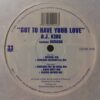Got To Have Your Love - DJ King