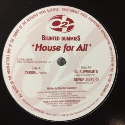 House For All - Blunted Dummies