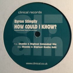 How Could I Know? - Byron Stingily / Shanks & Bigfoot