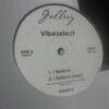 I Believe / Feel The World - Vibezelect