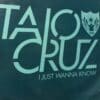 I Just Wanna Know - Taio Cruz / Wookie