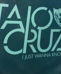 I Just Wanna Know - Taio Cruz / Wookie