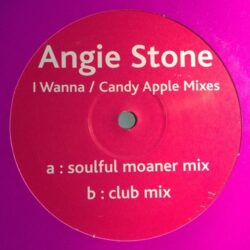 I Wanna - Angie Stone / Candy Apple