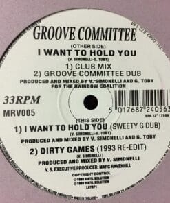 I Want To Hold You - Groove Committee