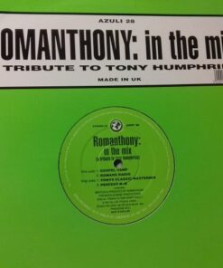 In The Mix- Romanthony