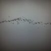 Infra001 EP - Spatial