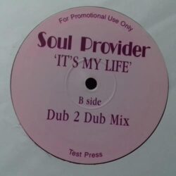It's My Life - Soul Provider