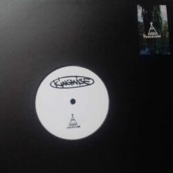 Kingwise - Folklore