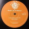 Kool Runninz / The Bora - Wesley J & Shimano