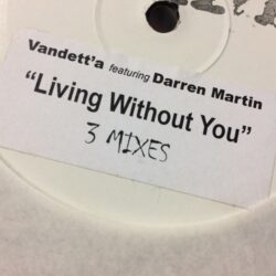 Living Without You - Vandetta