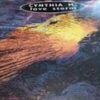 Love Storm - Cynthia M