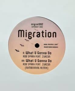 What U Gonna Do - Rob Sparx