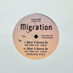 What U Gonna Do - Rob Sparx