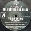 Your Lying - The Croydon Dub Heads