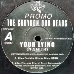Your Lying - The Croydon Dub Heads