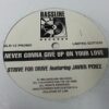 Never Gonna Give Up - Strive For Jive *PROMO*