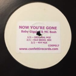 Now Youre Gone - Baby Giggles & MC Bosh