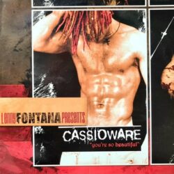 You're So Beautiful - Lenny Fontana Presents Cassioware