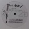 Our Destiny - Brown & Cole