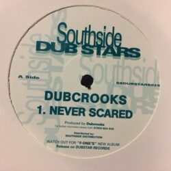 Never Scared - Dub Crooks