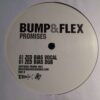 Promises - Bump & Flex / Zed Bias