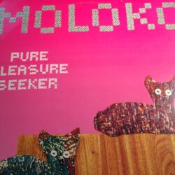 Pure Pleasure Seeker - Moloko / Oscar G