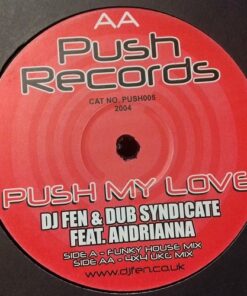 Push My Love - DJ Fen & Dub Syndicate
