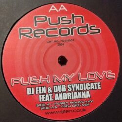 Push My Love - DJ Fen & Dub Syndicate