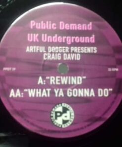 What Ya Gonna Do / Rewind - Artful Dodger